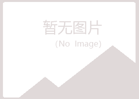 碾子山区山柳能源有限公司